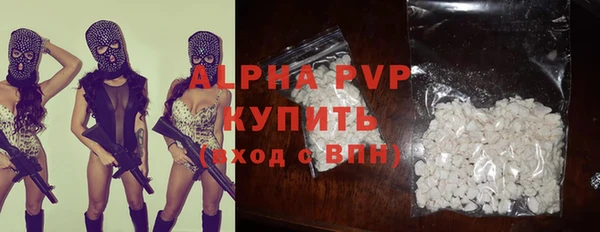 индика Володарск