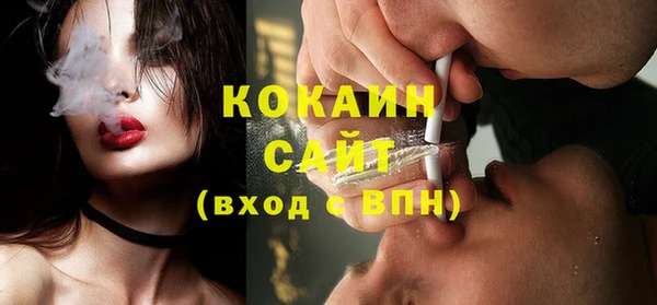 индика Володарск