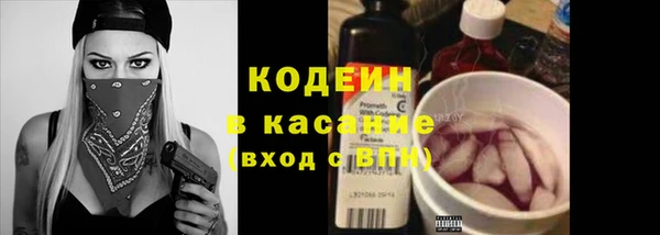 индика Володарск