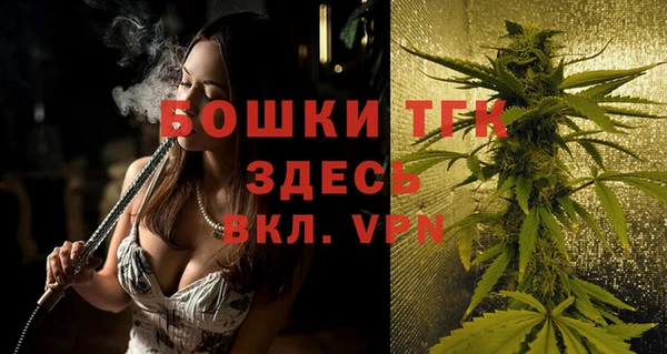 индика Володарск