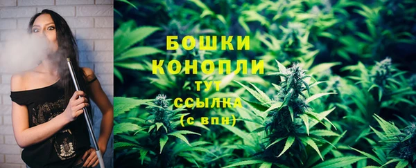 амф Кулебаки