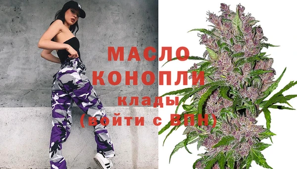 индика Володарск