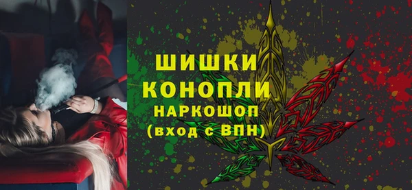 индика Володарск