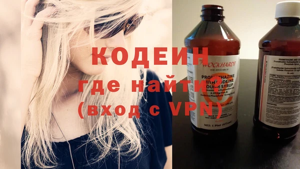 индика Володарск