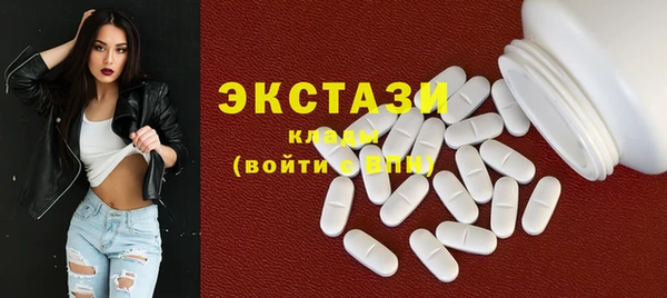 индика Володарск