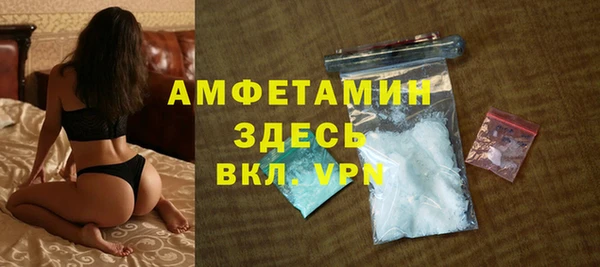 индика Володарск