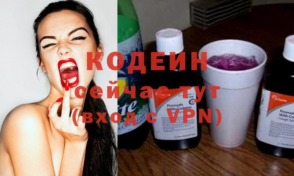 индика Володарск