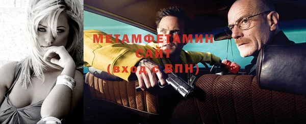 индика Володарск